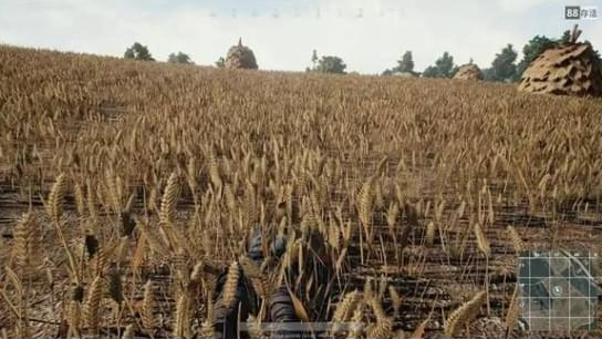 绝地求生大逃杀画质怎么调 画质设置技巧心得 (2)