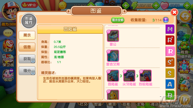 口袋超萌R级精灵圆陆鲨怎么样 R级宠物图鉴属性 (2)