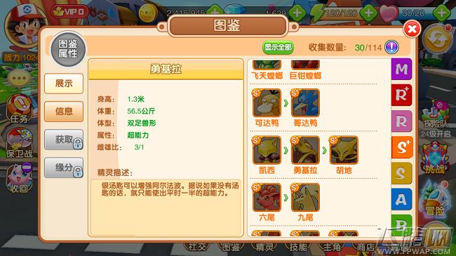 口袋超萌手游S+级精灵凯西进化勇基拉 S+级宠物图鉴属性 (2)