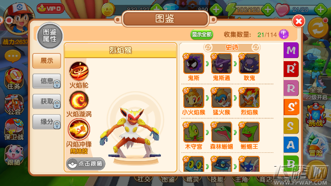 口袋超萌手游S+级精灵猛火猴进化烈焰猴 S+级宠物图鉴属性 (1)