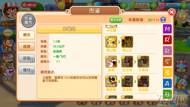 口袋超萌手游S级精灵比比鸟进化大比鸟 S级宠物图鉴属性 (2)