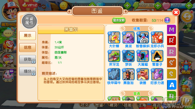 口袋超萌手游A级精灵黑鲁加怎么样 A级宠物图鉴属性 (2)