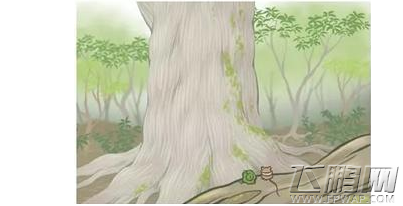 旅行青蛙SSR稀有明信片获取技巧分享 稀有明信片ssr怎么获得 (7)