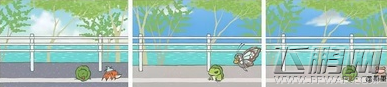 旅行青蛙SSR稀有明信片获取技巧分享 稀有明信片ssr怎么获得 (20)