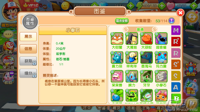 口袋超萌手游B级精灵小拳石怎么样 B级宠物图鉴属性 (3)