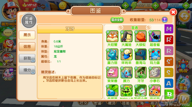 口袋超萌手游B级精灵牙牙怎么样 B级宠物图鉴属性 (3)