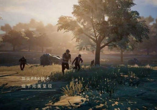绝地求生刺激战场怎么删除草坪 刺激战场除草方法介绍 (1)