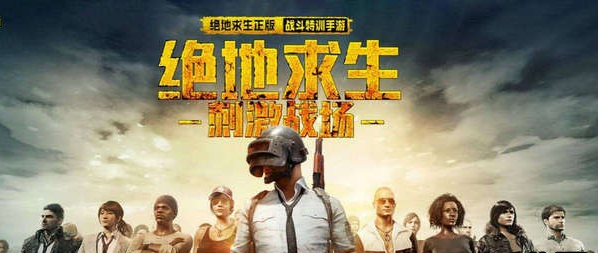 绝地求生刺激战场IOS版更新后游戏闪退解决方式 (1)