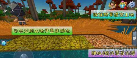 迷你世界小麦的种子是什么 怎么种植小麦 (1)