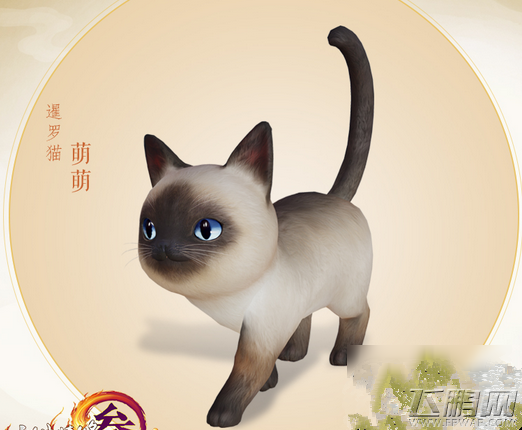 剑网3暹罗猫萌萌详解 (1)