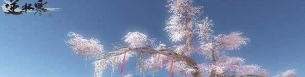 逆水寒OL七夕情侣副本云樱岛怎么玩 逆水寒OL七夕情侣副本云樱岛攻略分享 (2)