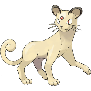 精灵宝可梦 神奇宝贝百科猫老大 ペルシアン Persian图鉴第一代全参数(图文) (1)