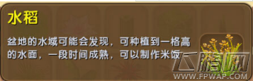 迷你世界水稻怎么种 水稻获得方法 (1)