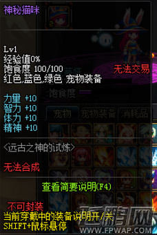 dnf神秘猫咪宠物怎么得 神秘猫咪宠物获得攻略 (2)