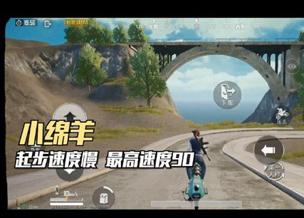 绝地求生刺激战场小绵羊要注意什么 小绵羊注意事项 (1)