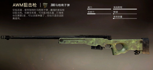 和平精英狙击枪排名一览 狙击枪威力排行 (1)