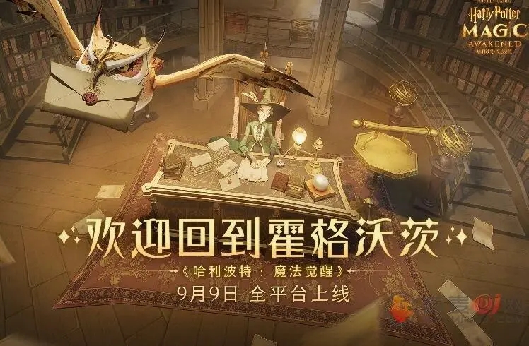哈利波特魔法觉醒可以更换性别吗？哈利波特魔法觉醒性别有什么用 (1)
