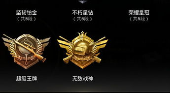 d9d819be86226bbd.jpg