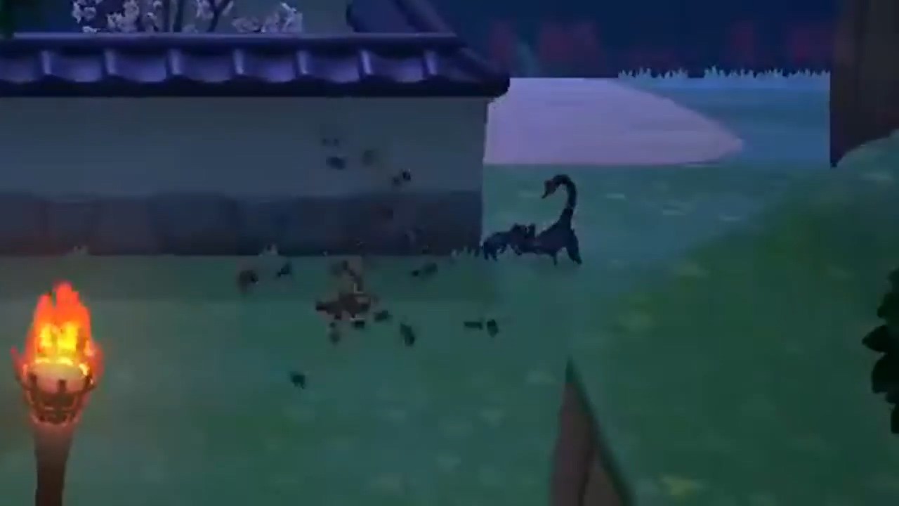  (2)