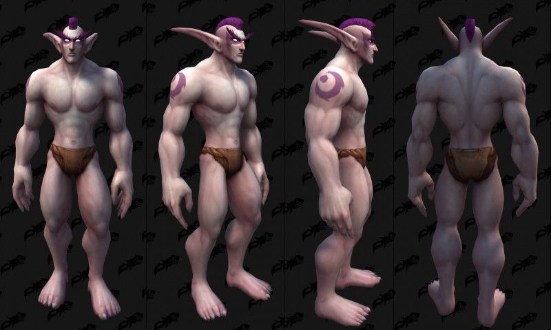 《WOW》9.0德鲁伊或可自定义猎豹形态纹身 (4)