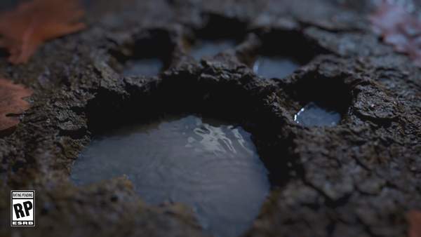 Gearbox《神陨》职业“银鬃”预告 狮形神灵勇猛无畏 (2)