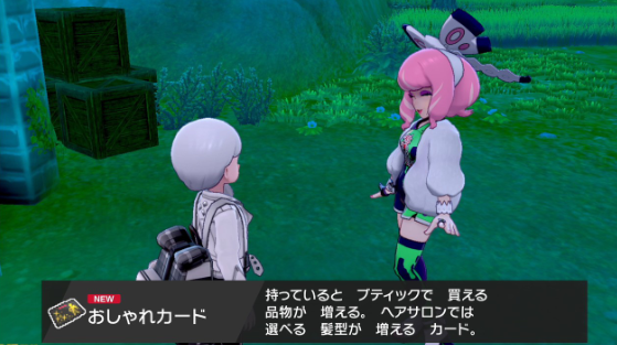 《宝可梦：剑盾》DLC《铠之孤岛》新要素介绍 (11)