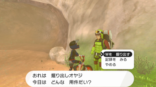 《宝可梦：剑盾》DLC《铠之孤岛》新要素介绍 (5)