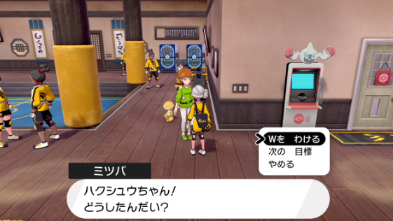 《宝可梦：剑盾》DLC《铠之孤岛》新要素介绍 (14)