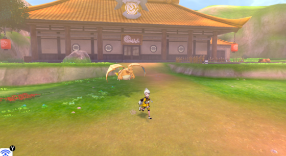 《宝可梦：剑盾》DLC《铠之孤岛》新要素介绍 (16)
