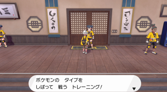 《宝可梦：剑盾》DLC《铠之孤岛》新要素介绍 (18)