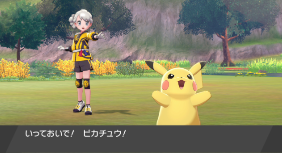 《宝可梦：剑盾》DLC《铠之孤岛》新要素介绍 (17)