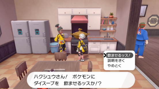 《宝可梦：剑盾》DLC《铠之孤岛》新要素介绍 (13)