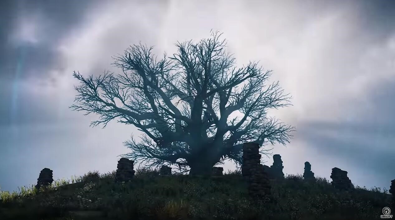  (1)