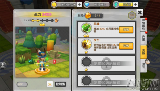 冒险之城宠物养成介绍 (5)