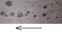 20210810132942617.jpg 2ec904faf94538d14a3d7543115bf01d.jpg