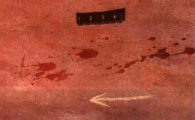 20210811094547321.jpg 89411a51f96591fbcd124f83bcb6d4b9.jpg