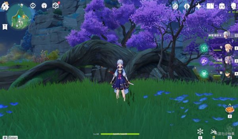 原神稻妻荒海机关解谜教程