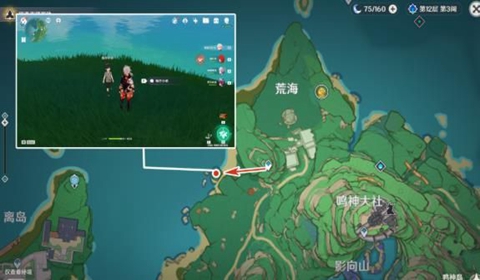 原神稻妻鲸井小弟位置一览