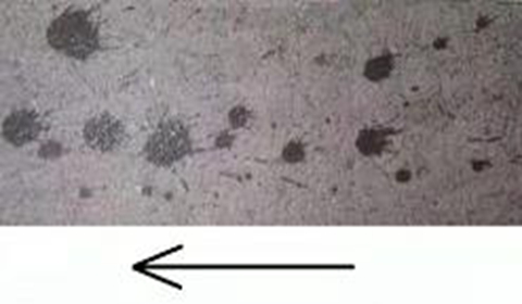 犯罪大师血迹勘察篇答案线索讲解