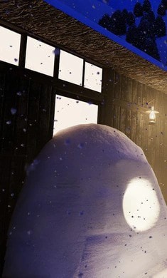 逃离温泉村(Onsen)