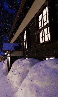 逃离温泉村(Onsen)