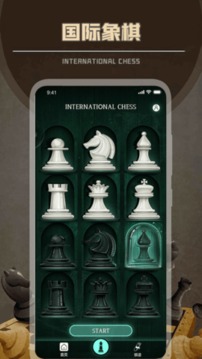 简单国际象棋