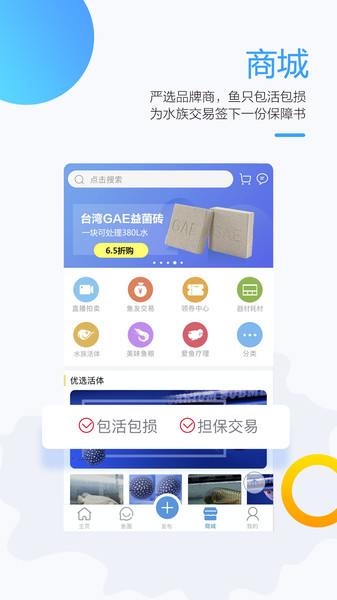 龙巅鱼邻