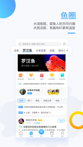 龙巅鱼邻