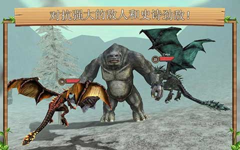 巨龙模拟器(Dragon Sim)