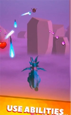 龙之马拉松(Dragon Marathon)