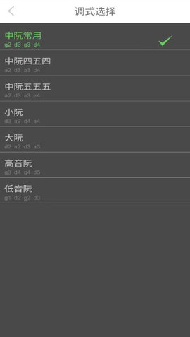 智能阮咸调音器