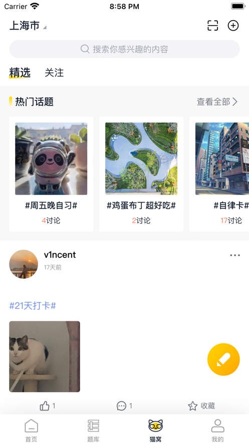 职业猫