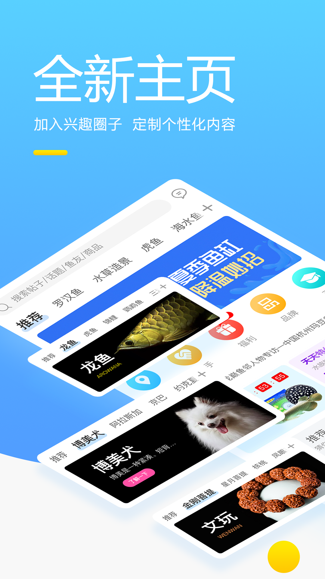 龙巅