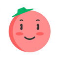 番茄英语app